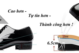Cấu tạo giày tăng chiều cao nam Toldo