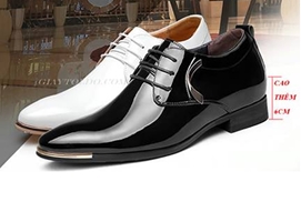 Giày cưới nam tăng chiều cao - cho ngày cưới thêm niềm vui chọn vẹn