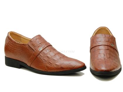 TT05 cá sấu-03.jpg