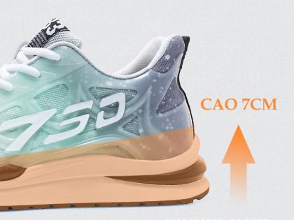 giày cao 7cm thể thao nam 8.jpg