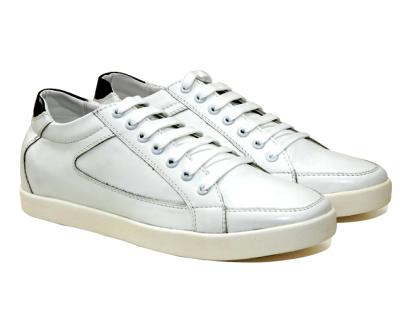 tt51 trang moi-01.jpg