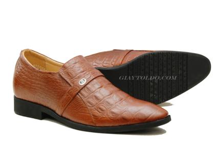 TT05 cá sấu-01.jpg