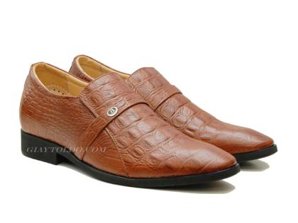 TT05 cá sấu-00.jpg