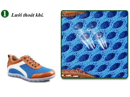 giay cao nam the thao HQ1563-07.jpg