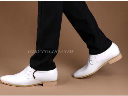 HQ 6592 Trắng-04.jpg