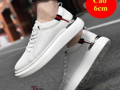 giày cao nam HQ1005 2.jpg