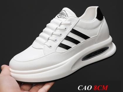 GIÀY CAO NAM THỂ THAO CAO 8CM 1.jpg