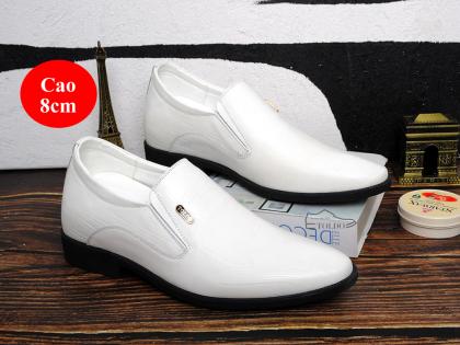 giày cao nam 2024 5.jpg