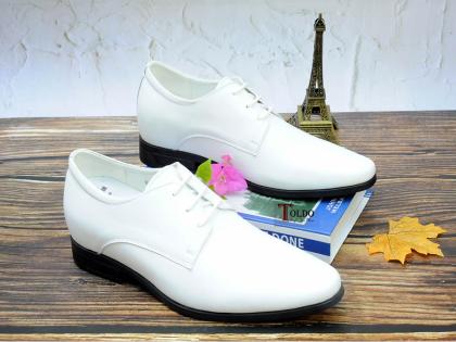 giày nam cao HQ667 Trắng 5.jpg