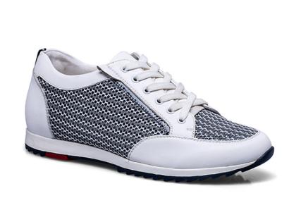 Giày thể thao nam cao 5cm