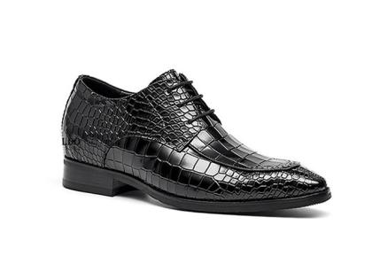 sd HQ9018 Dem-00.jpg