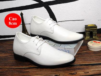 giày cao nam buộc dây 2024 3.jpg