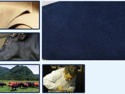 giày thể thao cao cho nam HQ1353-10.jpg