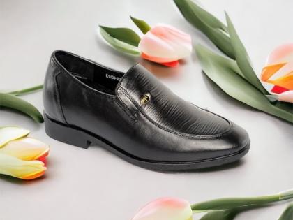 hq650 den tron 5.jpg