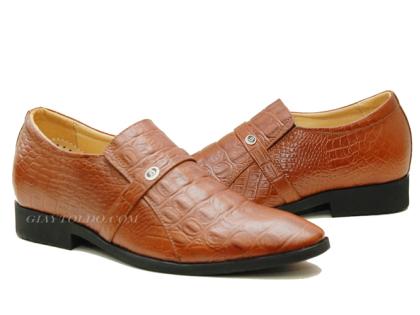 TT05 cá sấu-02.jpg