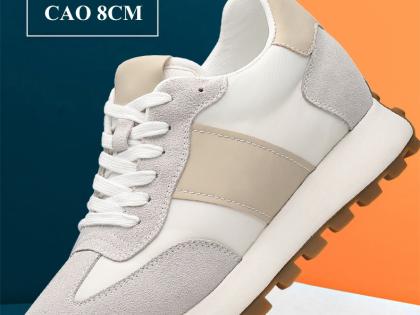 giày cao nam thể thao cao 8cm 1.jpg