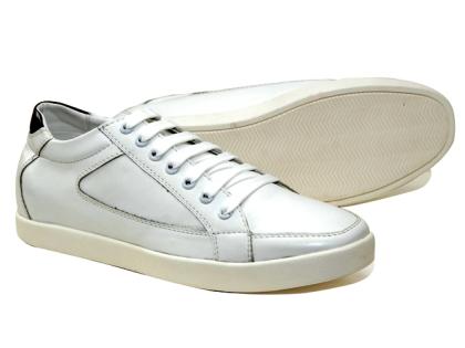 tt51 trang moi-02.jpg