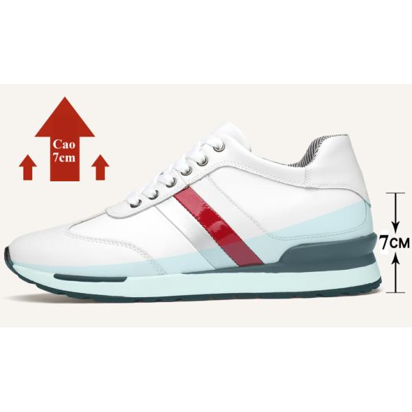 giày cao thể thao HQ1071-07.jpg
