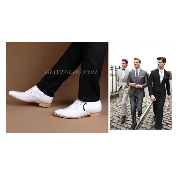 HQ 6592 Trắng-05.jpg