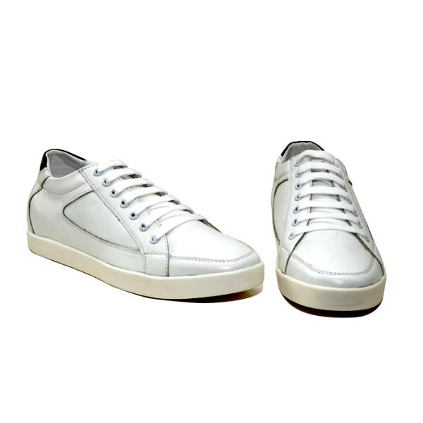 tt51 trang moi-03.jpg