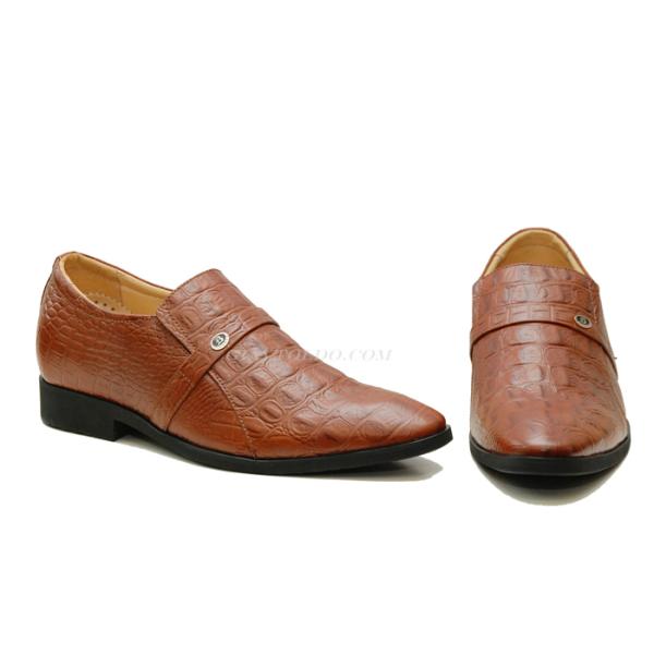 TT05 cá sấu-03.jpg