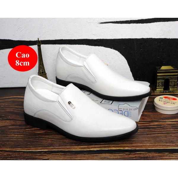 giày cao nam 2024 5.jpg