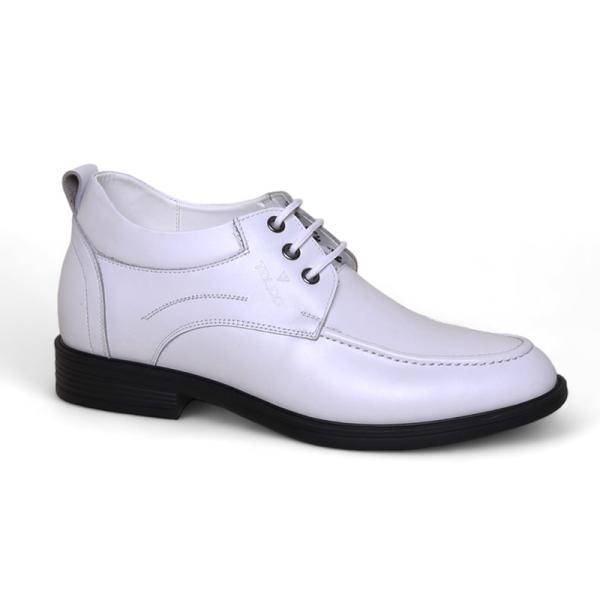 Giày cao 8cm cho nam màu trắng