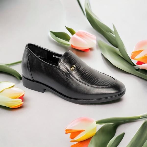 hq650 den tron 5.jpg