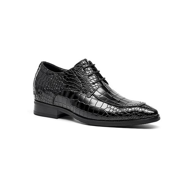 sd HQ9018 Dem-00.jpg