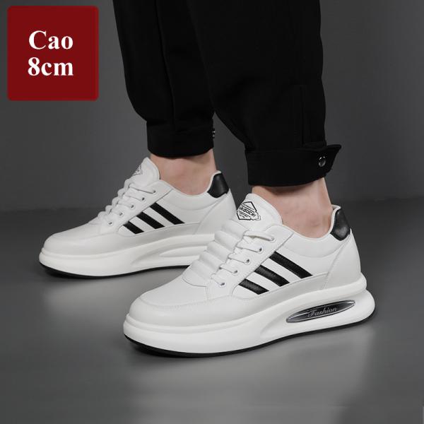 GIÀY CAO NAM THỂ THAO CAO 8CM 12.jpg