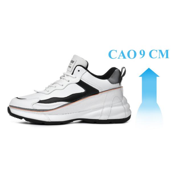 GIÀY CAO NAM THỂ THAO MÀU TRẮNG CAO 8CM 4.jpg