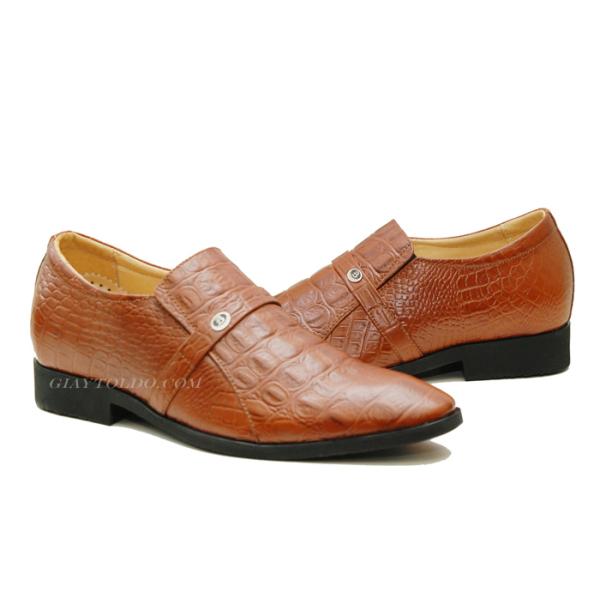 TT05 cá sấu-02.jpg