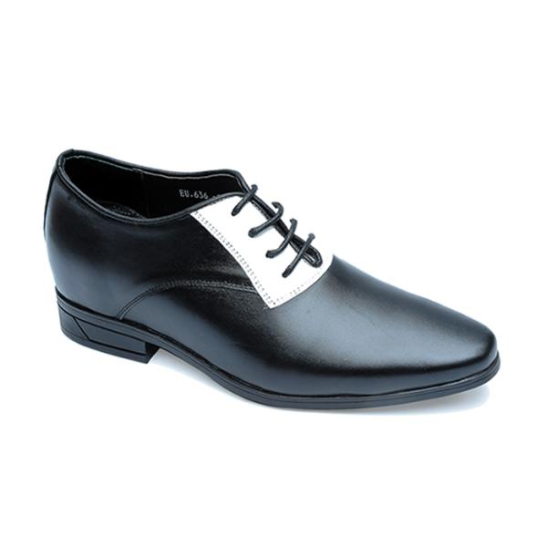 Giày nam cao lịch lãm