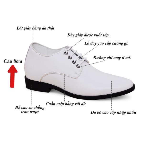 giày tăng chiều cao nam màu trắng 00.jpg