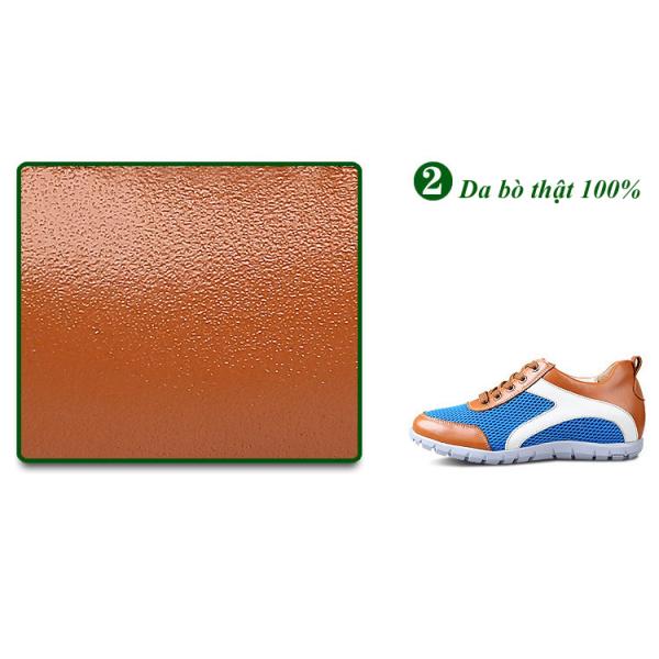 giay cao nam the thao HQ1563-03.jpg