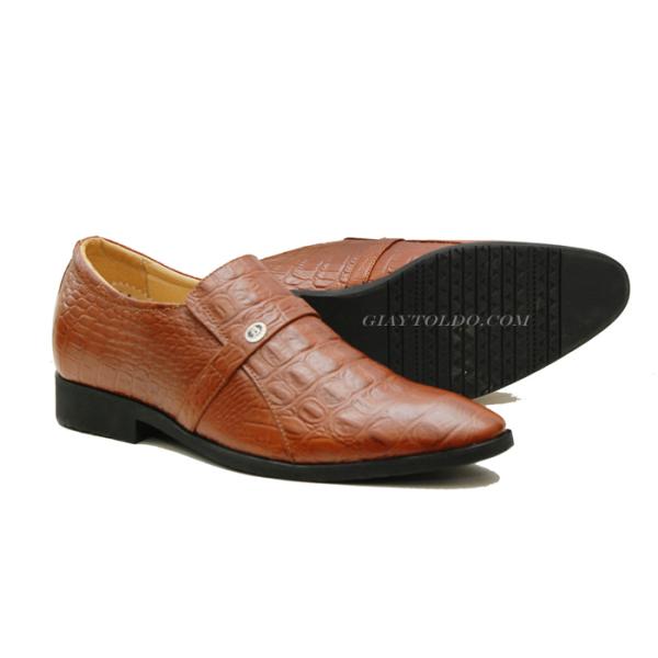 TT05 cá sấu-01.jpg