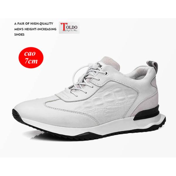 giày cao thể thao vân cá sấu 1.jpg