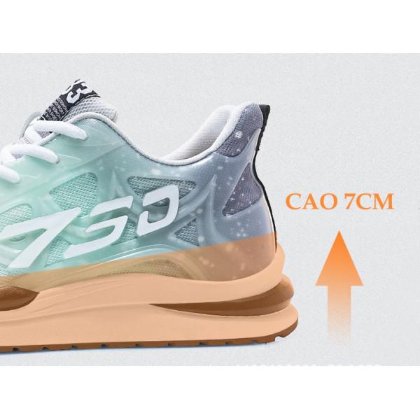 giày cao 7cm thể thao nam 8.jpg