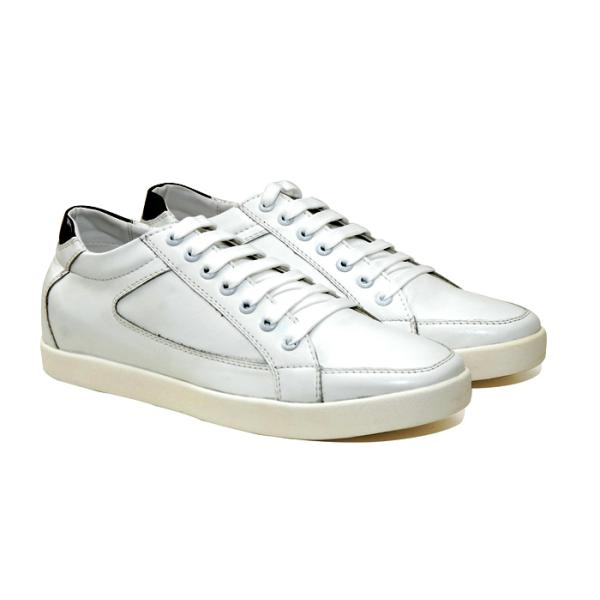 tt51 trang moi-01.jpg